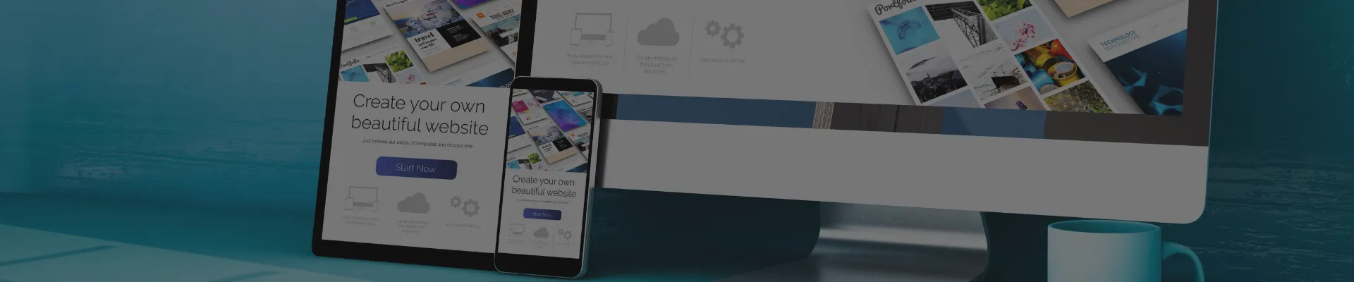 Web & App Development